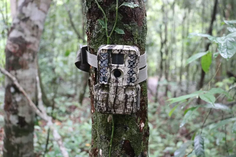 Camera Traps & Trail Cameras equipment