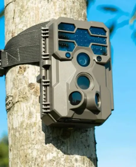 GardePro A60 4K Trail Camera — in use